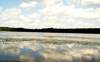 Jezioro Gołdap zostanie oczyszczone z sinic. To pierwsza w Polsce rekultywacja jeziora taką metodą